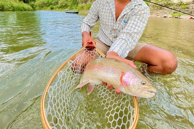 Full Day Guided Fishing Tour in Canyon Lake - What a full day feels like