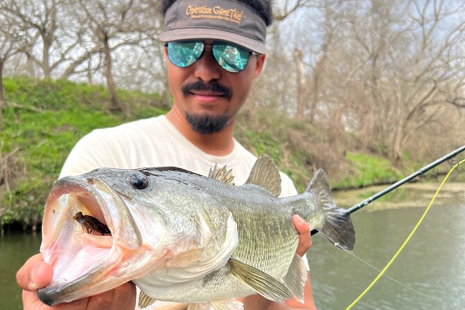 Full Day Guided Fishing Tour in Canyon Lake - Four fish species give you several targets