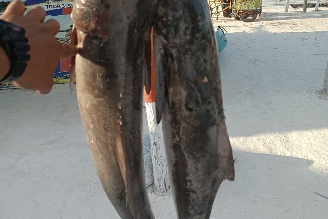 Full Day Private Deep Sea Fishing in Holbox - The crew: Andres, Josmar, and Jonny