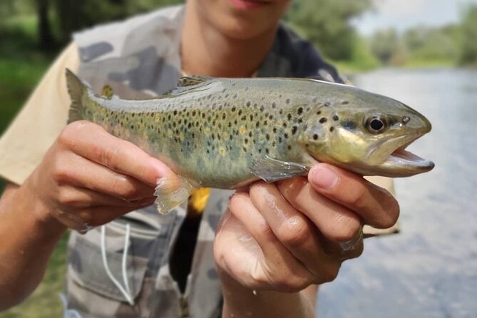 Full Day Private Guided Fishing Charter along the Isonzo Front - How the full day takes shape