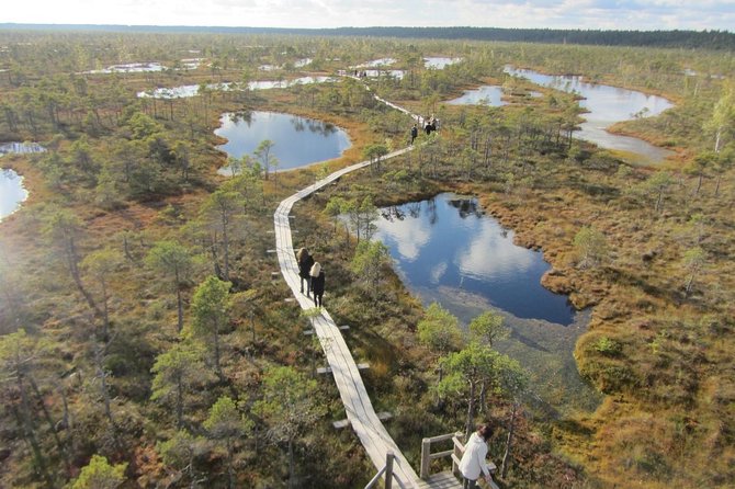 Full-Day Private Trip to Jurmala, Fisherman Villages and Nature Trails from Riga - A 38-meter view from Dzintari Park