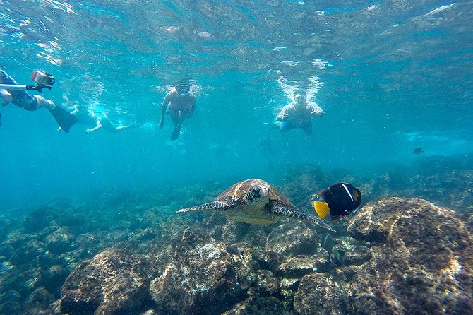 Full Day Tour Pinzon Island + La Fe/Las Palmas - Snorkeling & Fishing - Why Pinzon Island makes this a full day worth considering