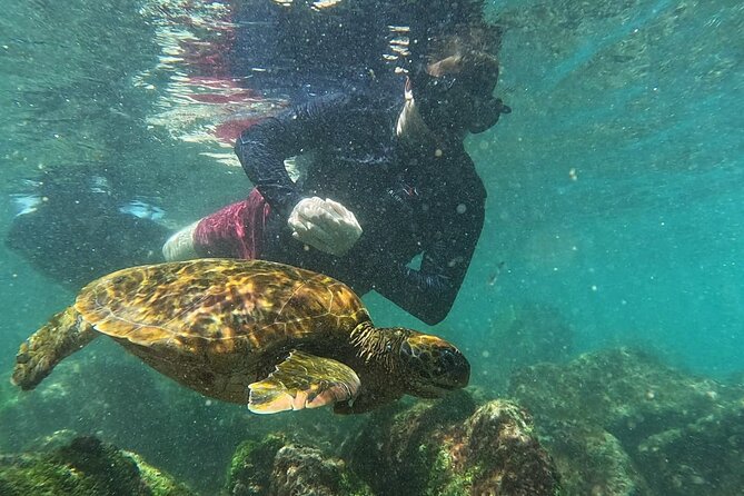 Full Day Tour Pinzon Island + La Fe/Las Palmas - Snorkeling & Fishing - Snorkeling around Pinzon Island