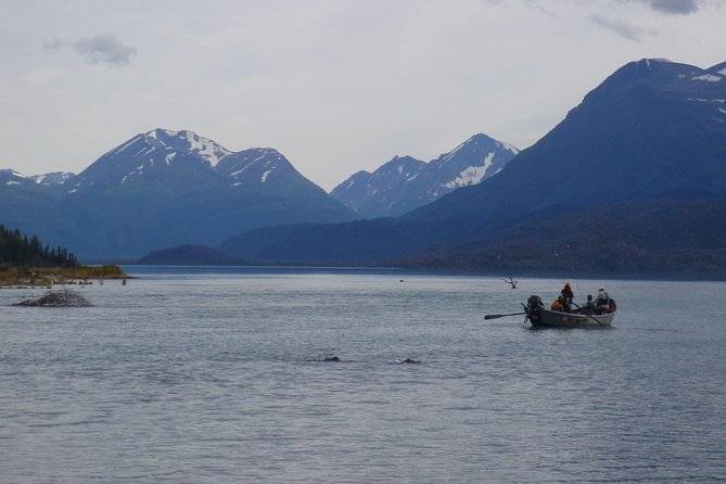Full-Day Upper Kenai River Guided Fishing Trip - Catch and release, salmon limits, and expectations