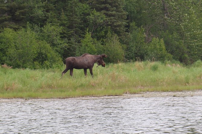 Full-Day Upper Kenai River Guided Fishing Trip - What happens at the Kenai River stop