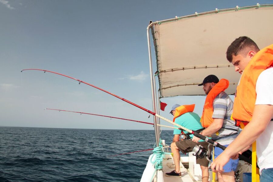 Fuzeta: 2.5-Hour Sport Fishing Tour - What happens during the 2.5-hour fishing session