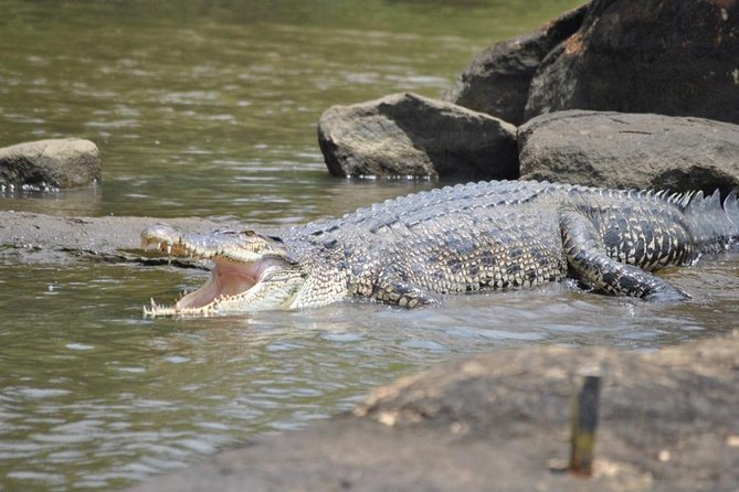 Galle Day Tour: Boat Safari, Dutch Fort, Stick Fishing & Turtles - Stilt fishermen at Koggala