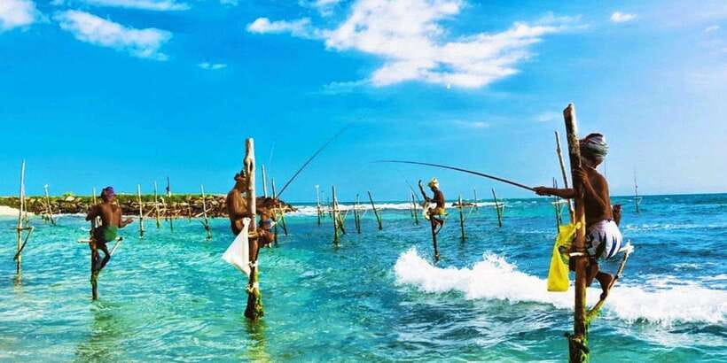 Galle Day Trip - River Safari, Sea Turtle & Stilt Fishermen - Key points at a glance