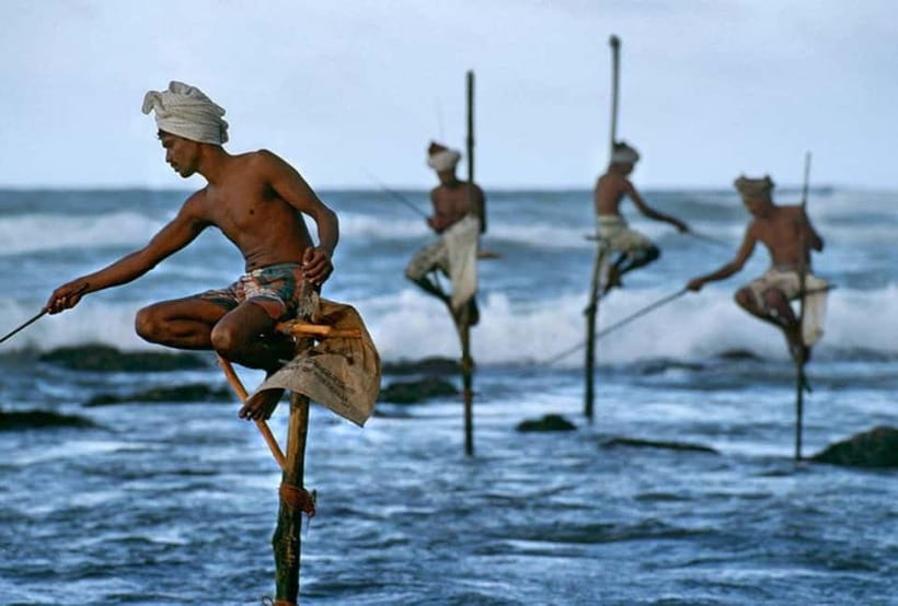 Galle Day Trip - River Safari, Sea Turtle & Stilt Fishermen - Turtle conservation with a useful reality check