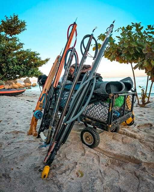 Gili Trawangan : Spearfishing with Catch & Cook Experience - Should you book the Gili Trawangan spearfishing outing?