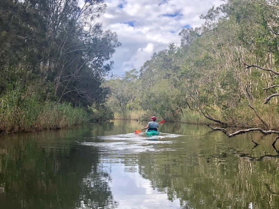 Gold Coast: Kayak Fishing Adventure - Key points