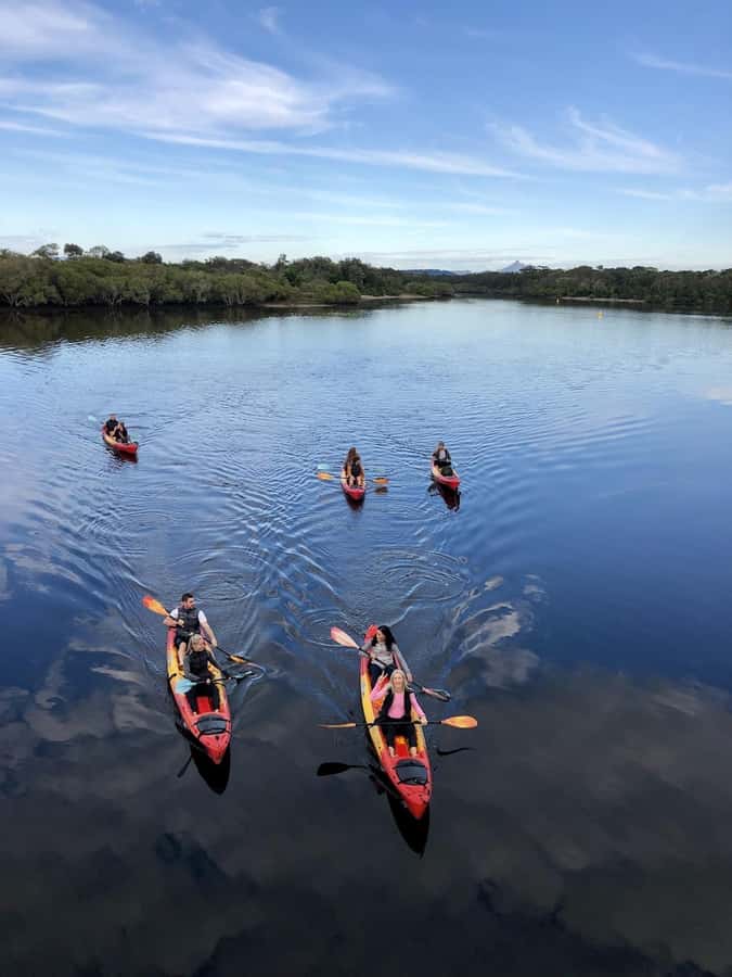 Gold Coast: Kayak Fishing Adventure - Should you book the Cudgen Creek kayak fishing trip?