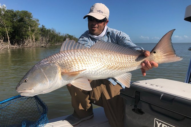 Golden Glare Fishing Charter with Experienced Captain - Learning the Basics Before You Start