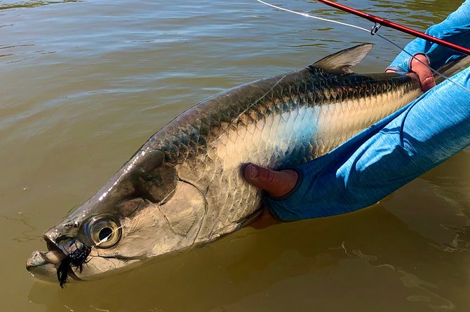 Golden Glare Fishing Charter with Experienced Captain - What the Everglades Stop Adds