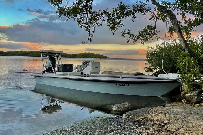 Golden Glare Fishing Charter with Experienced Captain - What Comes With the $650 Price