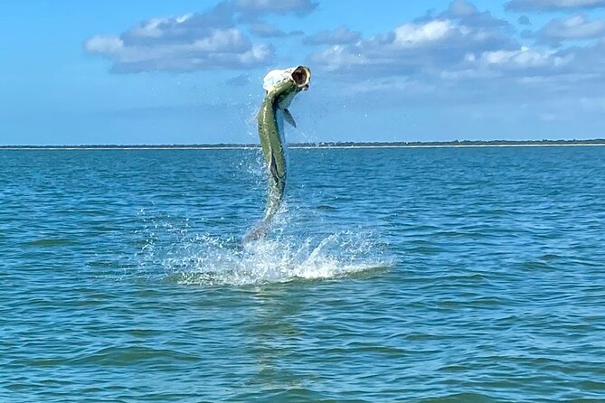 Golden Glare Fishing Charter with Experienced Captain - Packing for an Eight-Hour Morning and Afternoon
