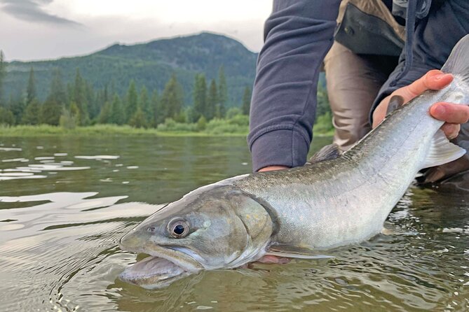 Guided Fishing Adventure in Whistler - Why beginners get good value here