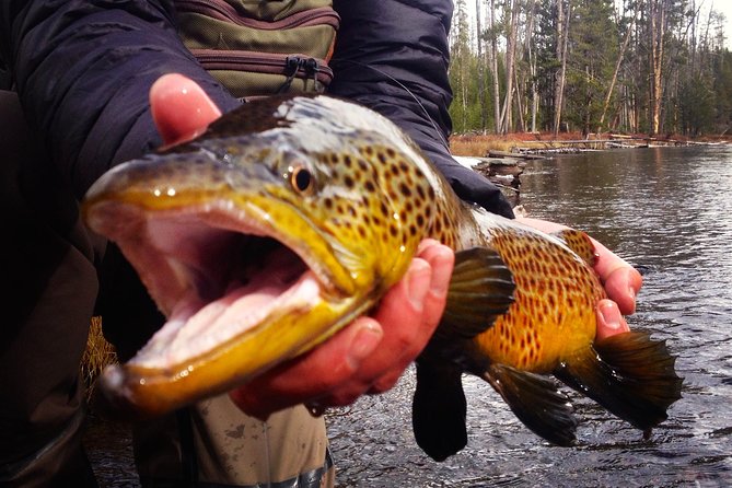 Guided Fishing Trip in Jackson Hole - Why beginners get real value from private instruction