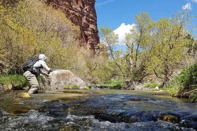 Guided Fly Fishing Experience in Park City - Booking, weather, and practical planning