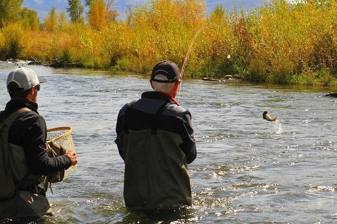 Guided Fly Fishing Experience in Park City - Meeting at 2599 River Road in Midway