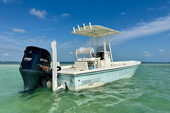 Half-Day Backcountry Fishing Charter from Key West - The seasonal fish you may target