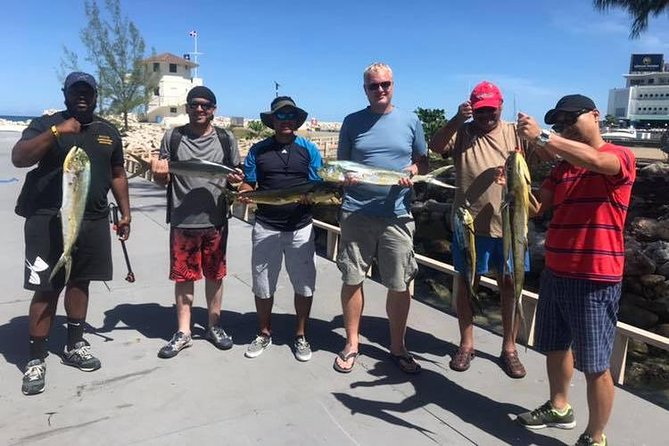 Half Day Big Game Fishing private charter - What the Catch Can Really Be Like