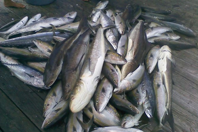 Half-Day Deep-Sea Fishing at Riviera Beach - The crowding problem at the rail