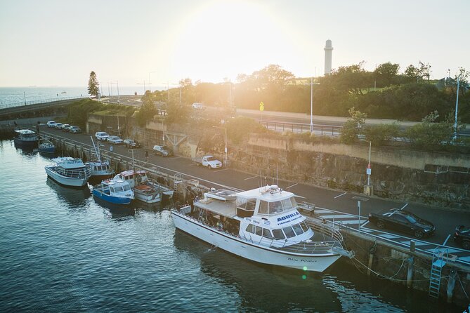 Half-Day Deep Sea Fishing in Wollongong - Weekdays only - What you might catch in Wollongong waters
