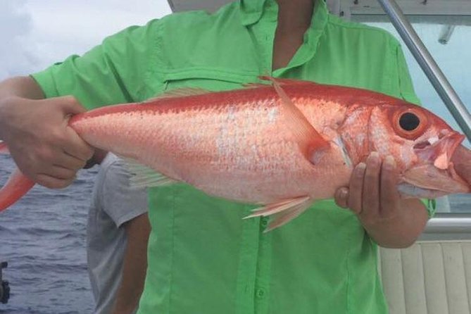 Half day Deep sea/light tackle fishing charters - What the four-hour schedule feels like