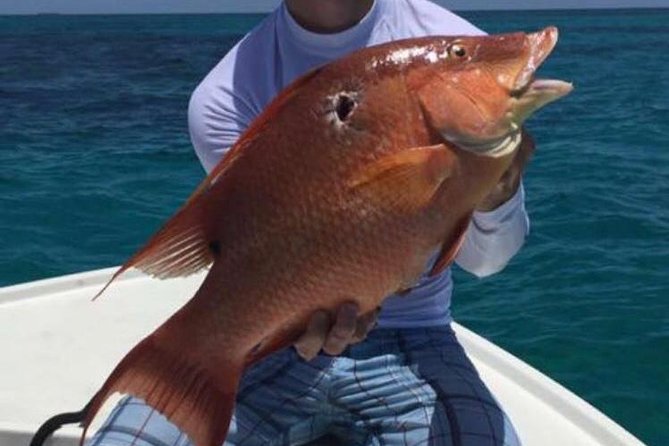 Half day Deep sea/light tackle fishing charters - Sea conditions and the human side of the trip