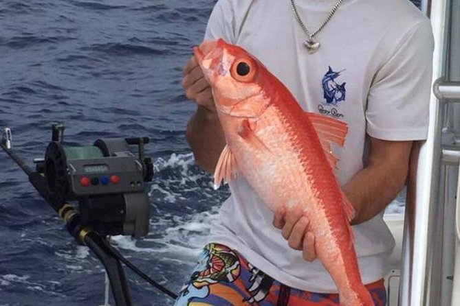 Half day Deep sea/light tackle fishing charters - Booking details that matter in practice