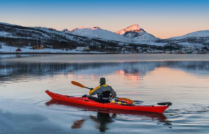 Half-Day Fishing & Fjord Cruise Adventure from Tromsø in Norway - Key points to know before booking