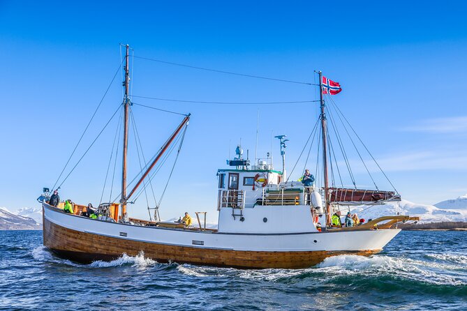 Half-Day Fishing & Fjord Cruise Adventure from Tromsø in Norway - Heading toward Tromsø’s fjords and fishing grounds