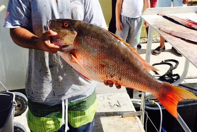 Half-Day Fishing Trip in Fort Lauderdale - Practical details that affect your day