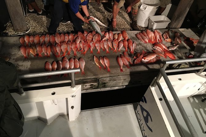 Half-Day Fishing Trip in Fort Lauderdale - The boat ride and the Atlantic conditions