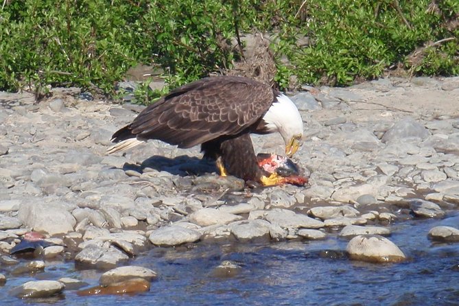 Half-Day Fishing Trip on the Kenai River - Why the small group limit matters