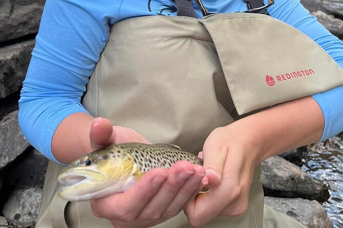 Half Day Fly Fishing Lesson on Clear Creek near Denver - The teaching style matters here