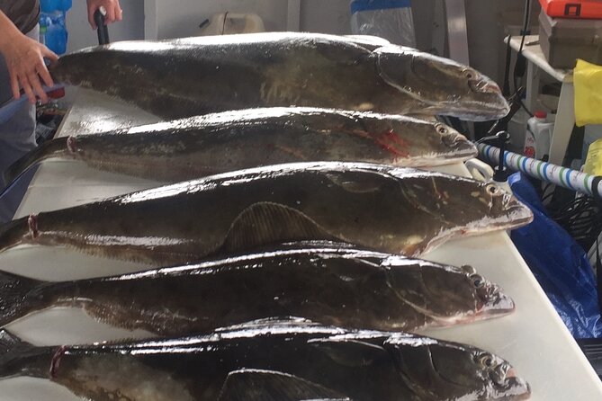 Half Day Halibut Fishing - Meeting the Charter at Icy Strait Point