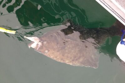 Half Day Halibut Fishing