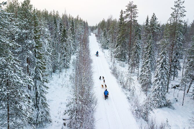 Half-Day Husky Safari and Salmon Ice Fishing Experience - Meeting the dogs and understanding the work
