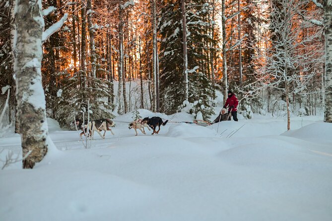 Half-Day Husky Safari and Salmon Ice Fishing Experience - Warm food in the kota