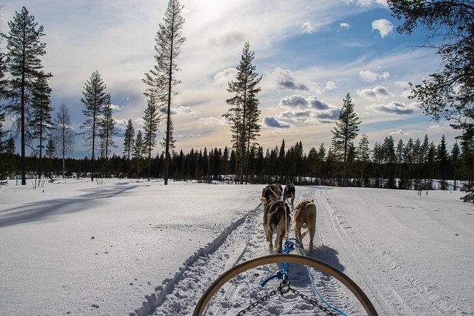 Half-Day Husky Safari and Salmon Ice Fishing Experience - Who will enjoy this most
