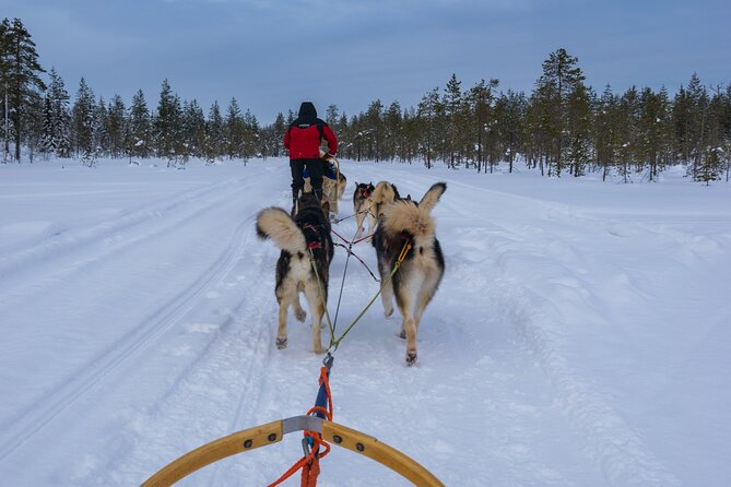 Half-Day Husky Safari and Salmon Ice Fishing Experience - Timing, clothing, and practical planning