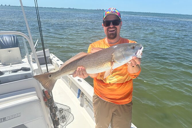 Half Day Inshore and Nearshore Fishing Charter in Sarasota - Starting at Sip N’ Slip Tours in Sarasota