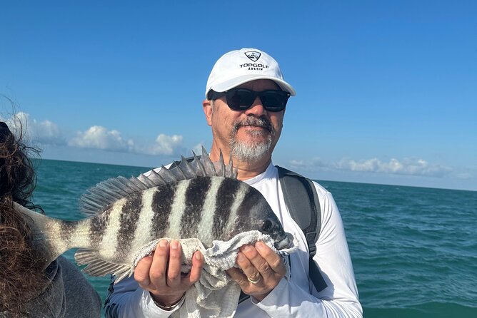 Half Day Inshore and Nearshore Fishing Charter in Sarasota - Wildlife between casts