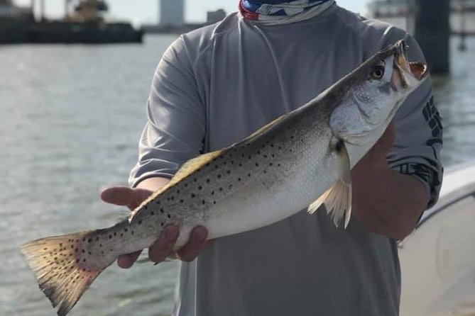 Half-Day Jetty Fishing Trip from Galveston - The private format is the main advantage