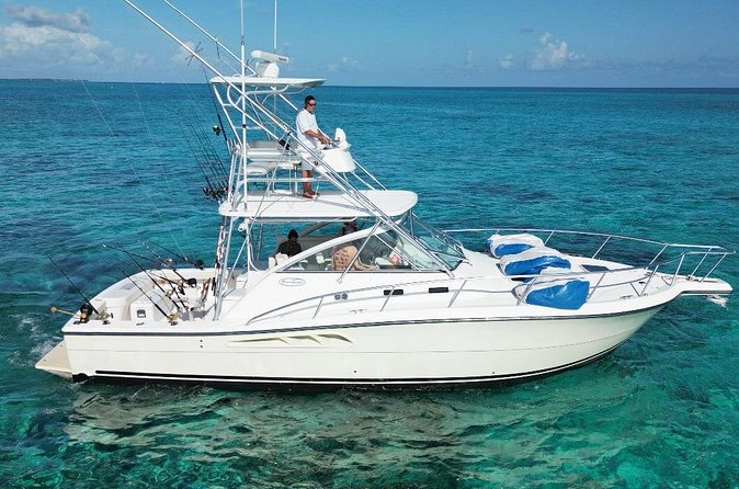 Half Day Luxury Private Fishing Charters in Cayman Islands - Visiting Stingray City during the charter
