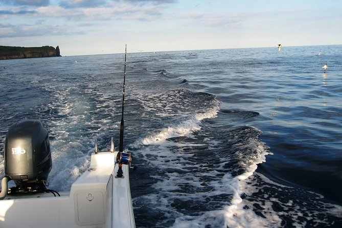 Half-Day Private Coastal Fishing Escape - Setting out from Ponta Delgada Marina