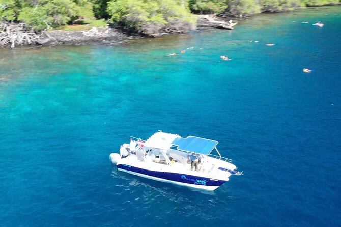 Half Day Private Cruise Tour with Snorkeling and Fishing in Kona - What the One-Hour Snorkeling Stop Feels Like