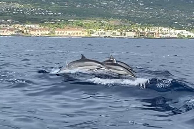 Half Day Private Cruise Tour with Snorkeling and Fishing in Kona - Adding Fishing to Your Five Hours
